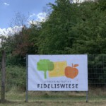 2. Open Air Sommer-Kino - August 2020