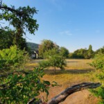 Fideliswiese von oben