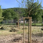 Bürgerinitiative beim "Heurecheln"