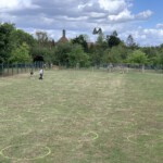 "Corona-Kreise" - Teil des Hygienekonzepts beim 2. Open Air Sommer-Kino - August 2020