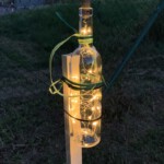 Open Air Sommer-Kino - August 2019