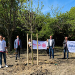 Rotary stiftet Obstbäume