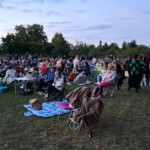 Open Air Sommer-Kino 2025 - Foto: Dieter Tomm